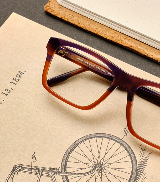 Maui Jim History
