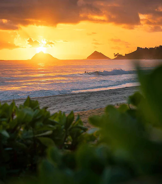 Maui Jim History